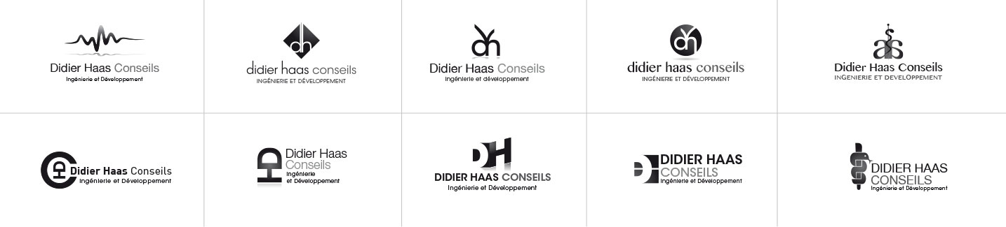 © Thierry Palau Création-recherche logo Didier Haas Conseil